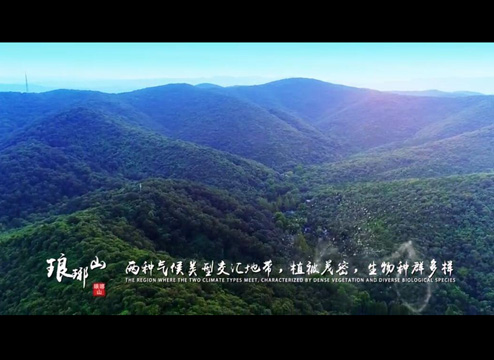 植物资源