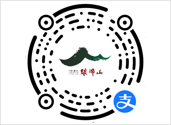 支付宝购票预约-支付宝扫码