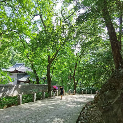 琅琊古道（夏）
