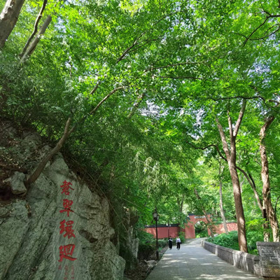苍翠环回