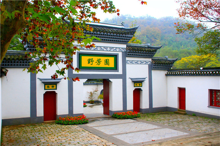 核心景点—野芳园